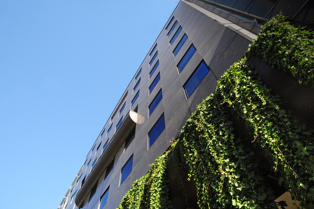 DSC_0141_mod
